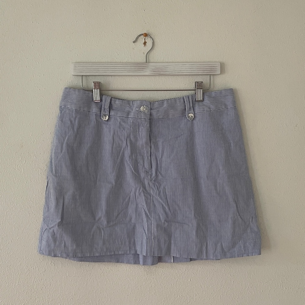 Jennifer and Grace Striped Skirt Blue White